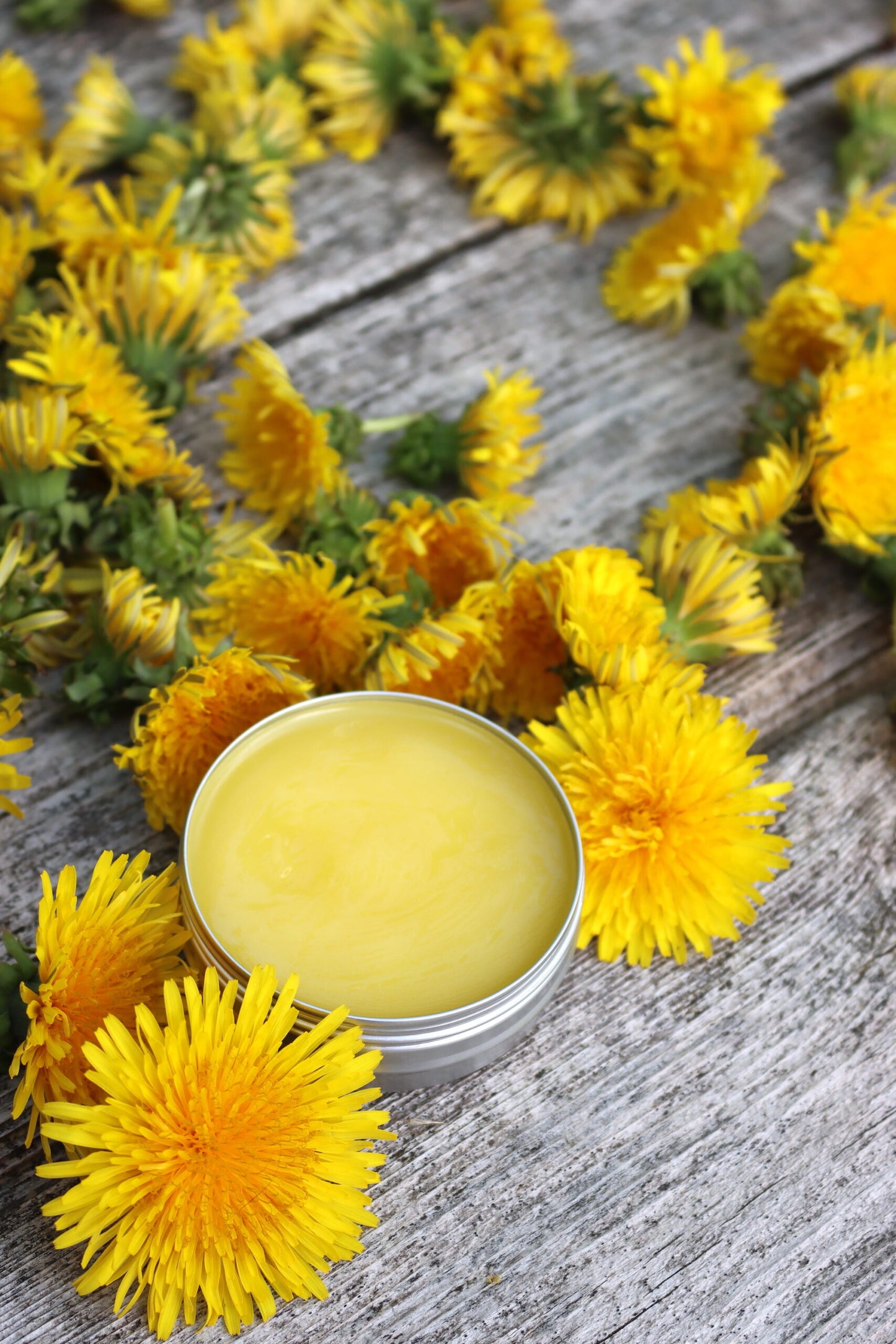 Dandelion Salve 4oz