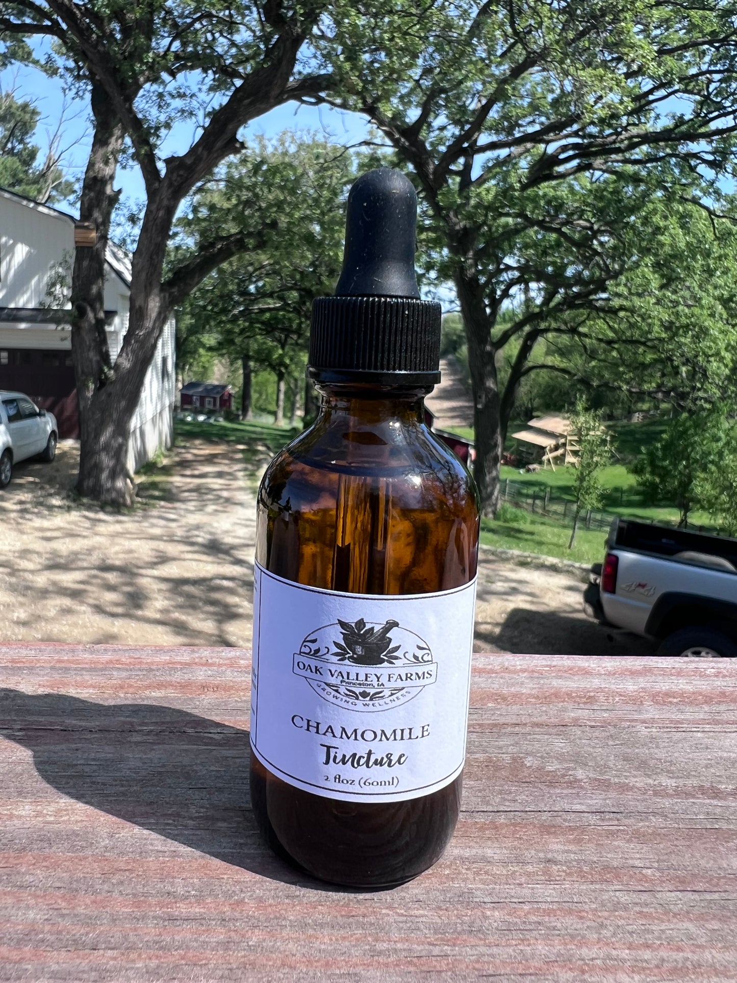 Chamomile Tincture 2oz