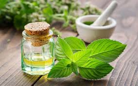 Spearmint Tincture 2oz