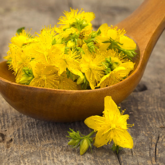 St. John's Wort Tincture 2oz